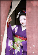 舞妓さんとの宴会プラン 祇をん豆ちほさん